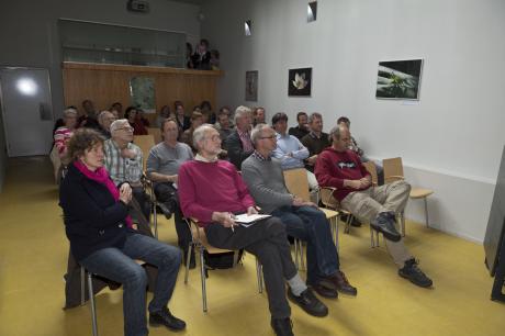 5 jaar wisenten in het Kraansvlak. Foto: Ruud Maaskant