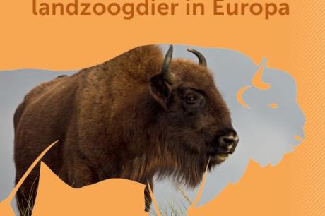 Titelafbeelding van het wisentenboekje van PWN