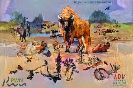 Kleurwedstrijd wisent